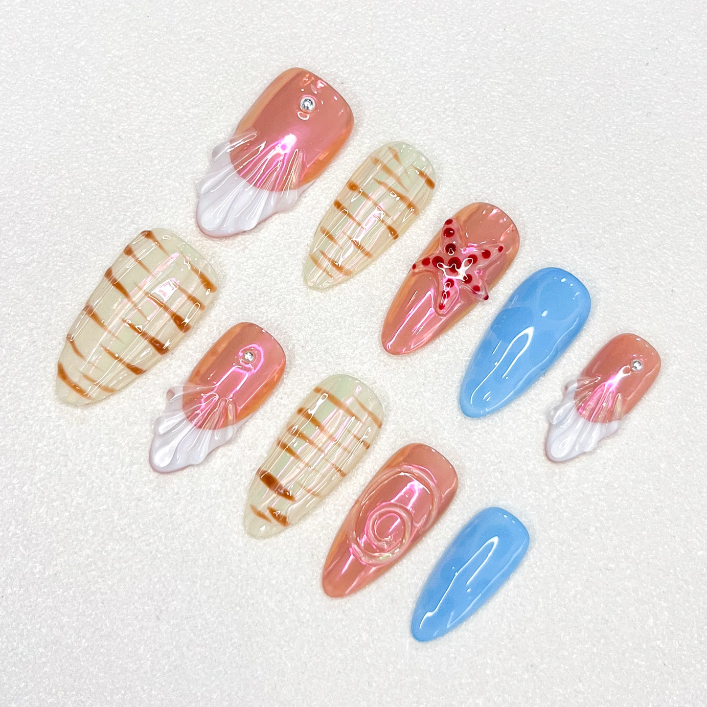 Aurora Seashells