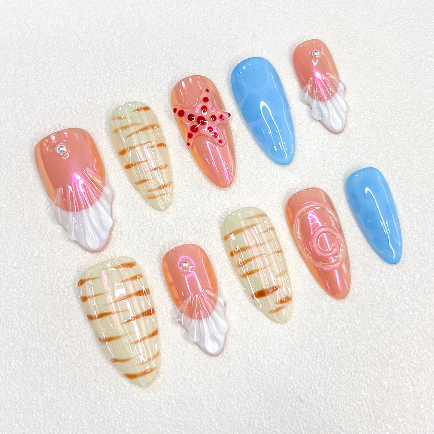 Aurora Seashells