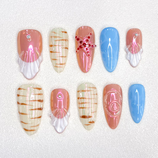 Aurora Seashells